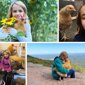 collage of Sophie and chickens: holding on at a sunflower field; selfie with a chicken; six sit around her while she's on zoom; sophie holds one close at the top of a hiking trail