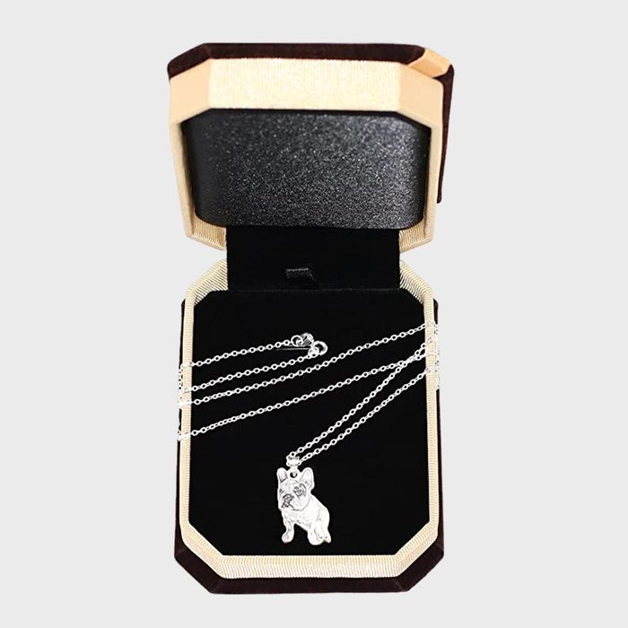 Wisdoy Personalized Pet Necklace