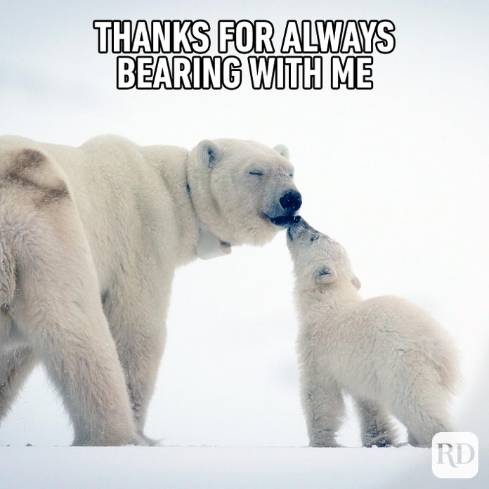 Polar bear father and child. Meme text: Thanks for always bearing with me