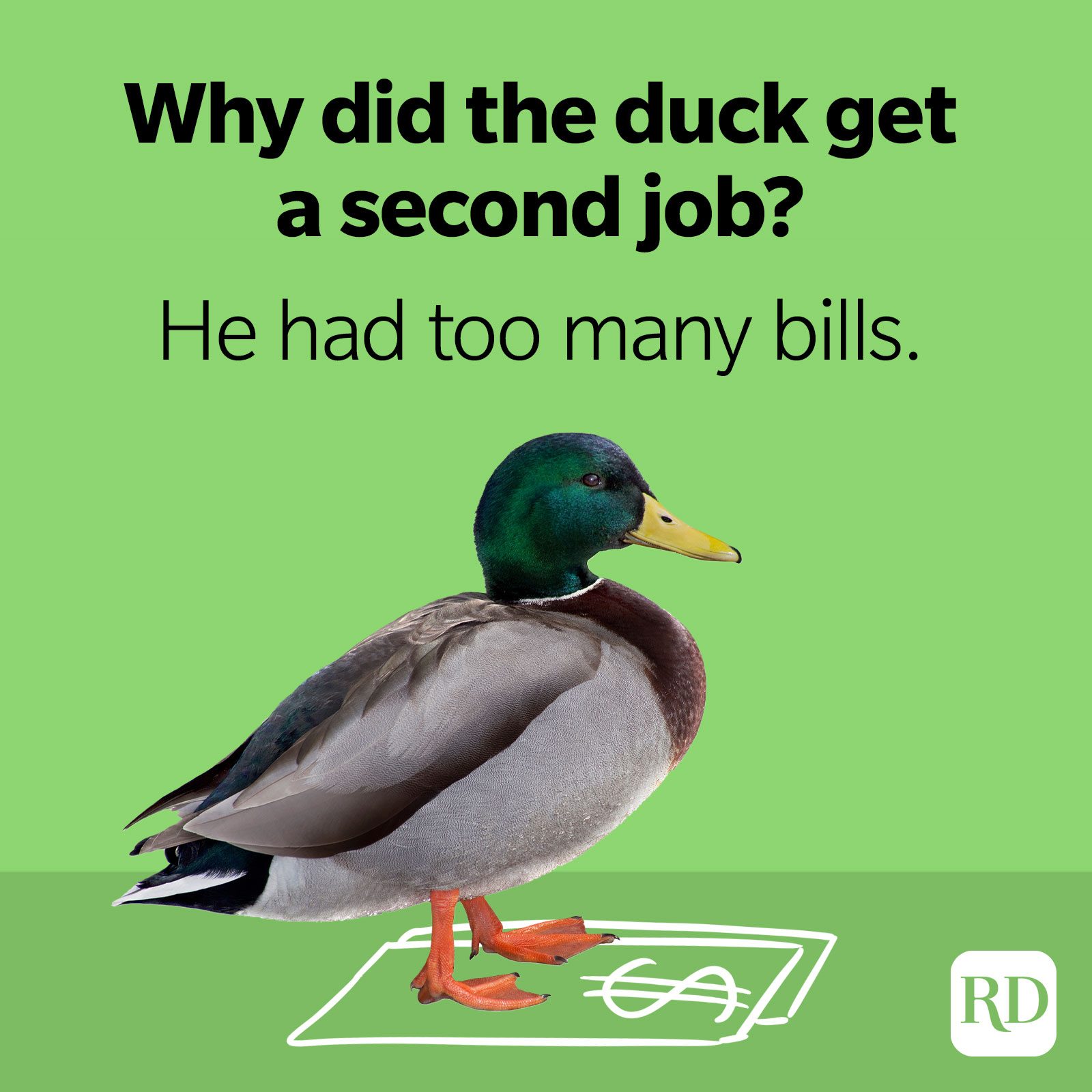 43. Why did the duck get a second job? He had too many bills.