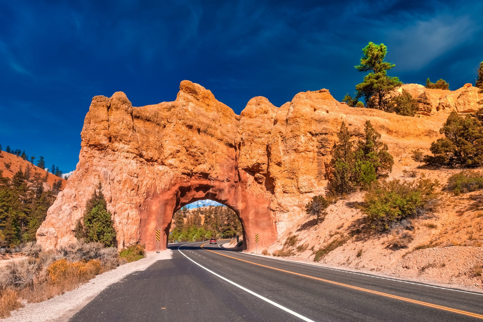 Red Canyon on the Dixie National Forest at the entrance of Bryce Canyon National Park, Utah, USA