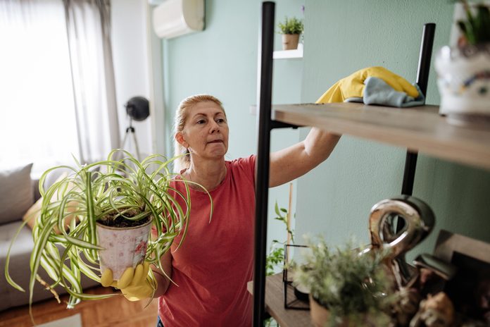 Woman wiping dust from furniture