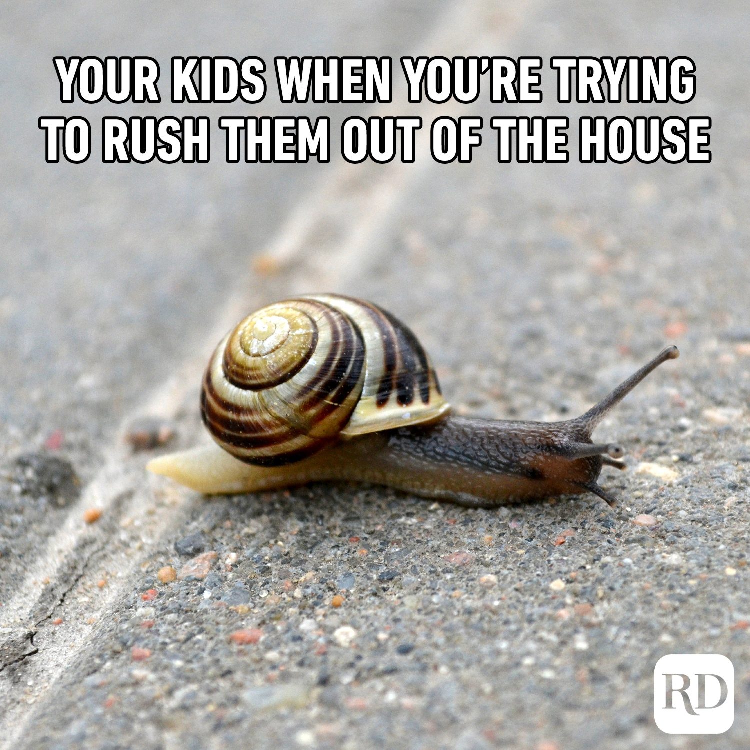 Your kids when you’re trying to rush them out of the house