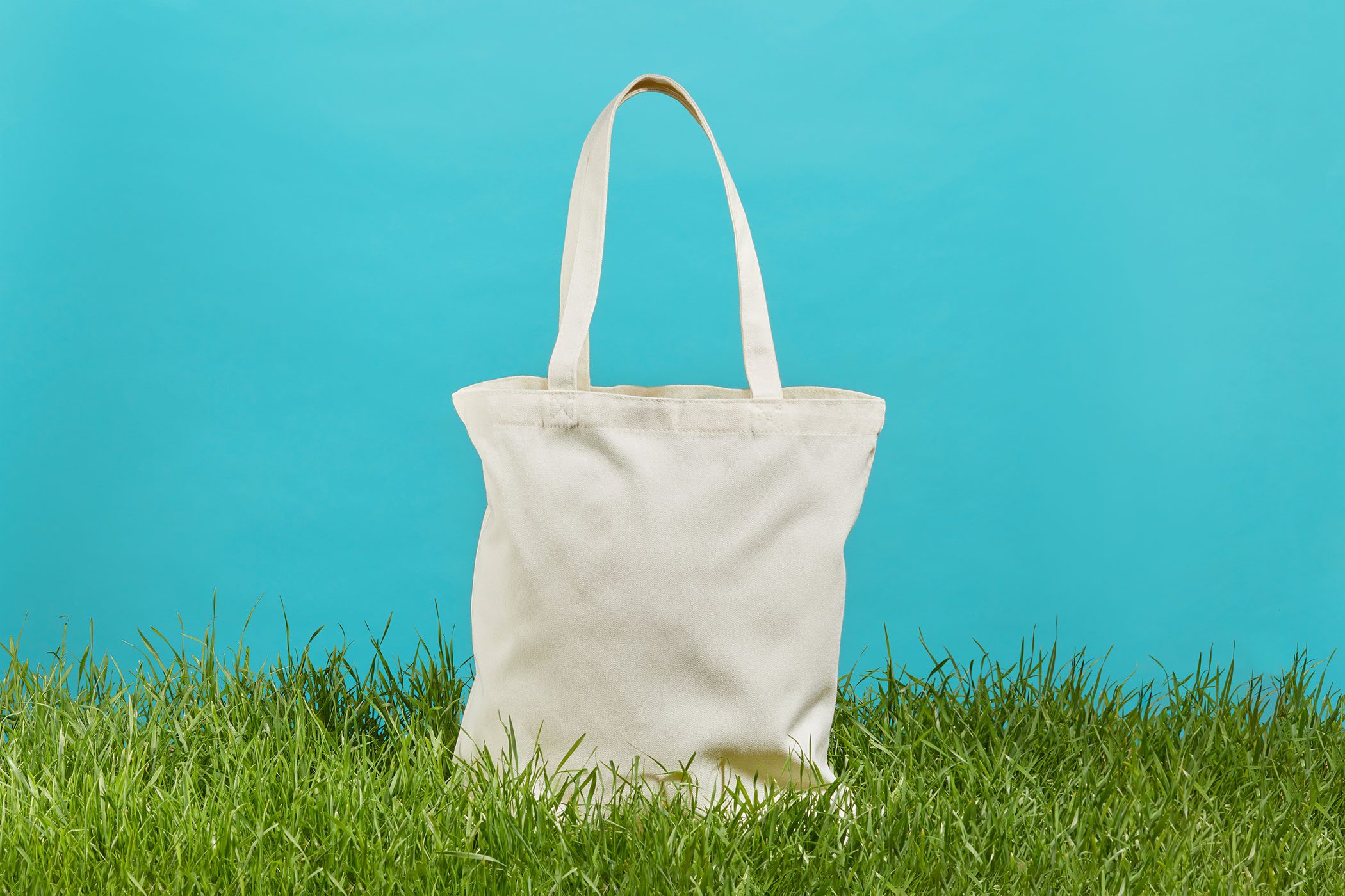 Are Reusable Bags Good for the Environment?