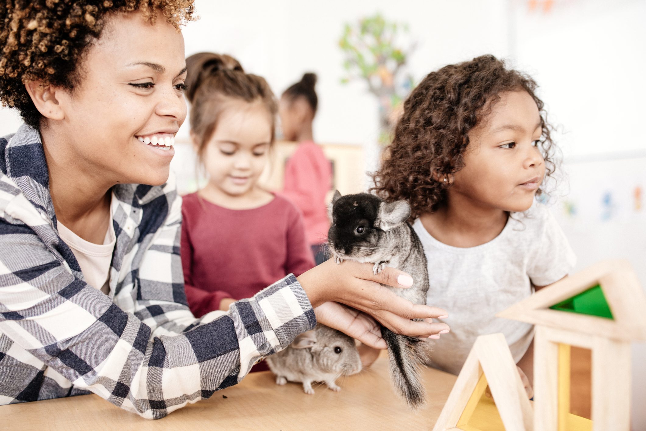 Kids learning about care and schedule for domestic animals