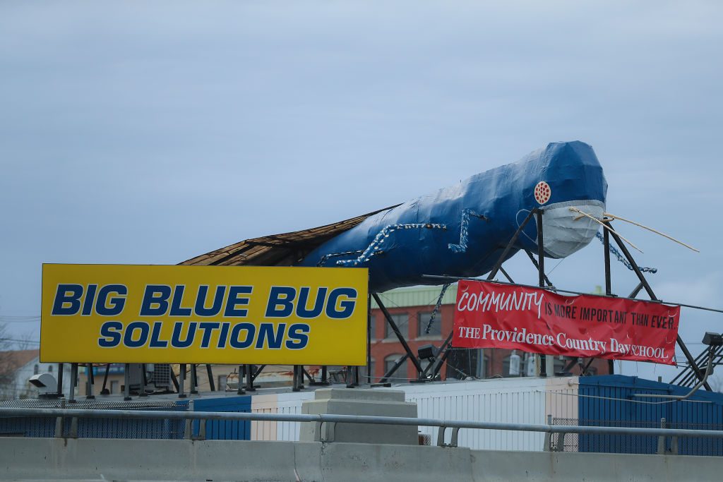 Big Blue Bug Solutions...