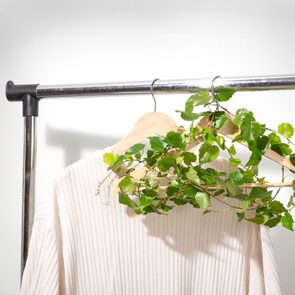 clothing rack with two hangers; one hanger has a beige sweater, the other is wrapped in vines