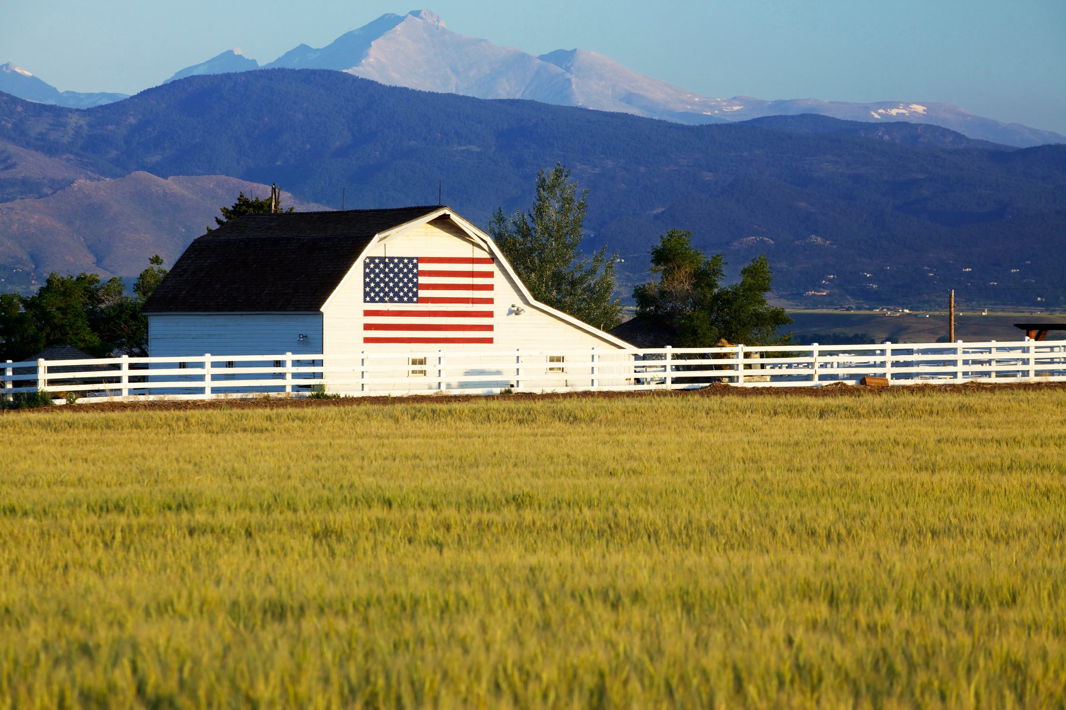 A landscape with a white barn with the American flag painted on the side standing in front of the Rocky Mountains of Colorado. Wheat field in foreground