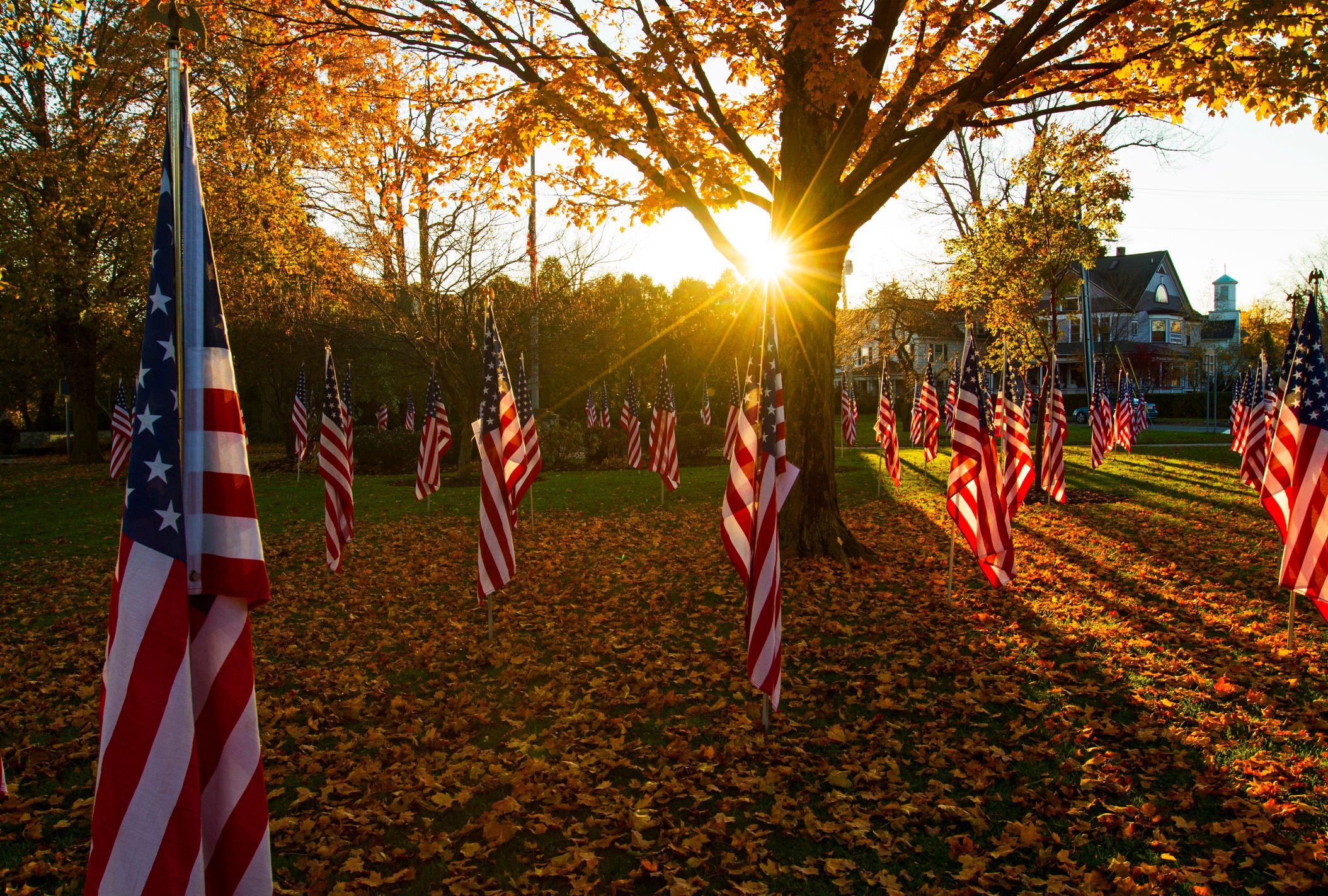 American flags sit in the autumn setting sun in a public park in a village in upstate New York