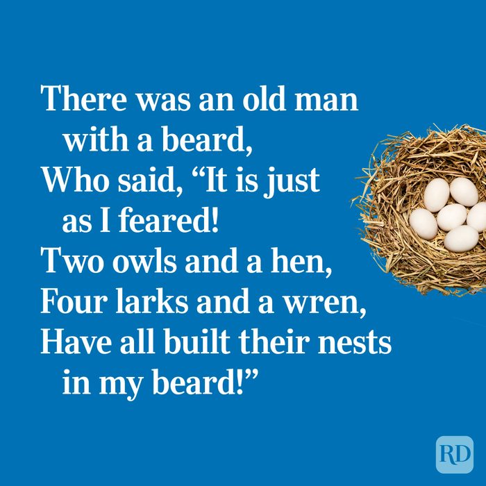 Quirky limerick about birds nests