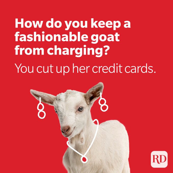 Goat wearing earrings and necklace