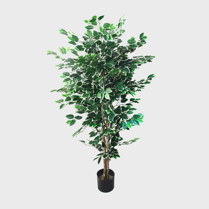 Pure Garden Green Artificial Ficus Tree Ecomm Via Walmart.com