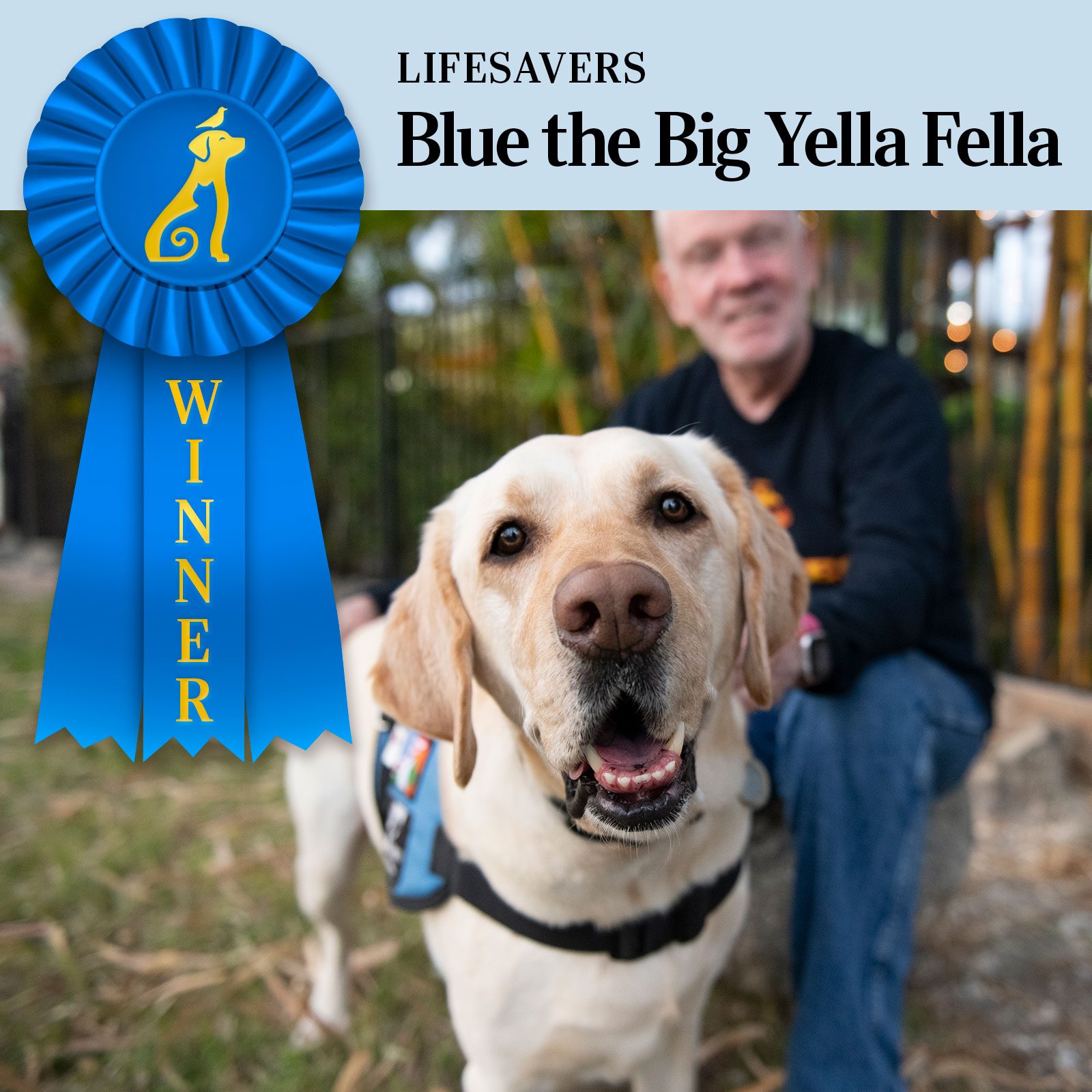 How Blue, the Big Yella Fella, Helped Turned This Veteran’s Life Around