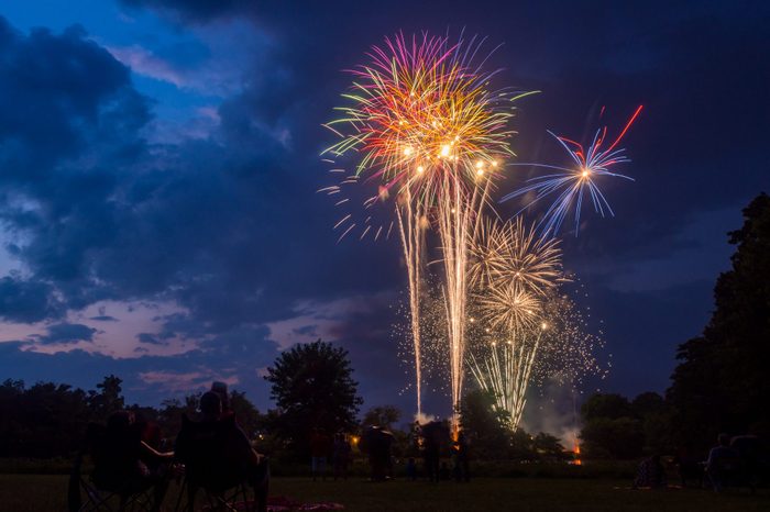 A fourth of July firework display above a forest park, people seated on the lawn watching.