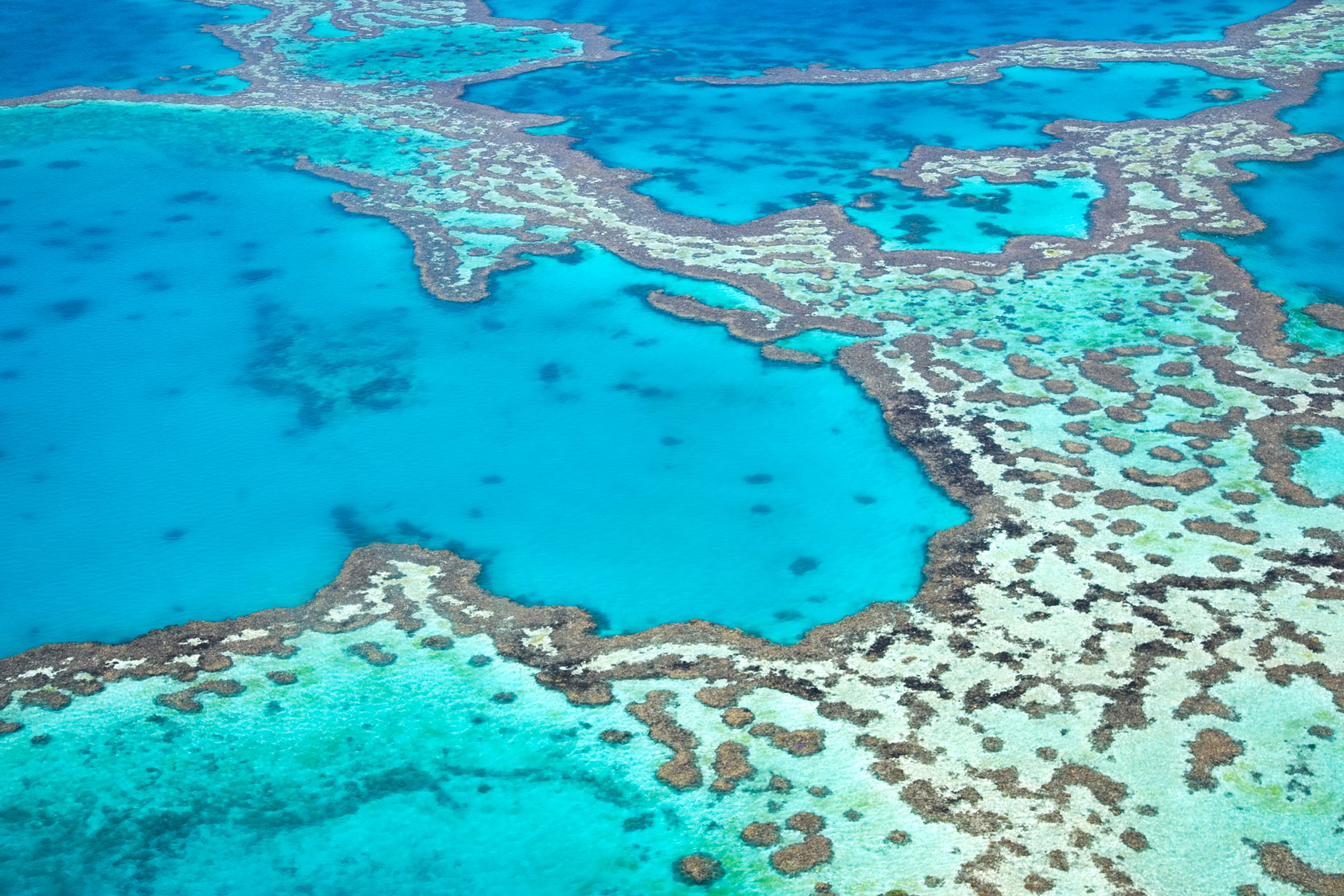 Aerial view of the Great Barrier Reef in Australia