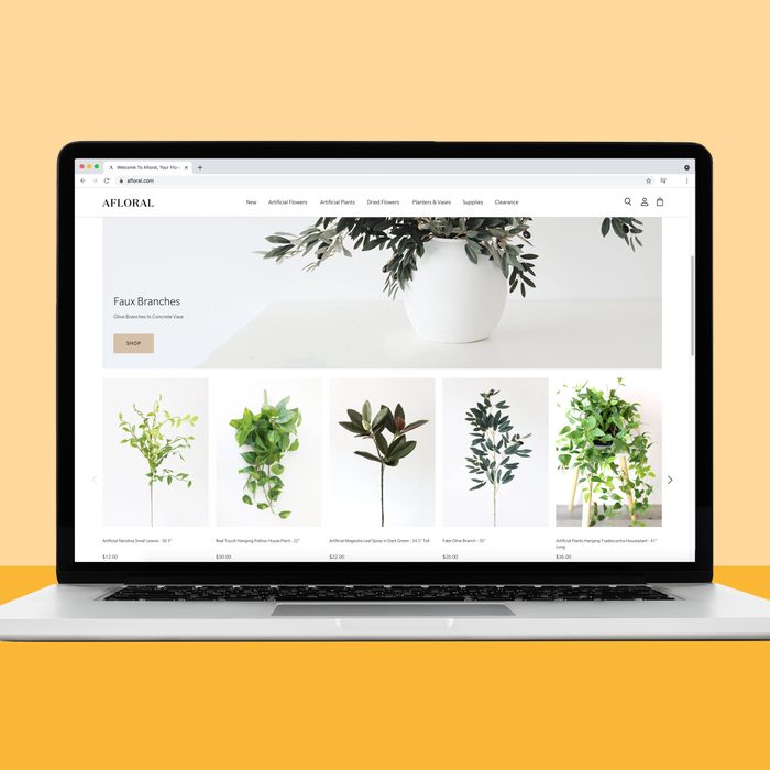 Afloral.com house plant source
