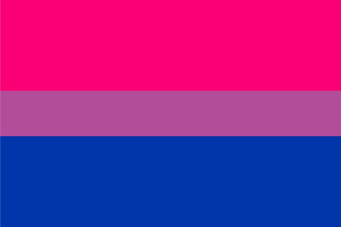 Bisexual Flag