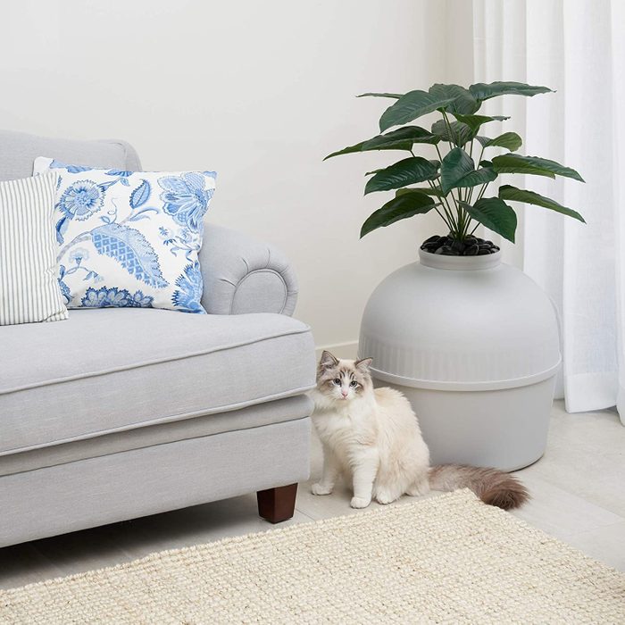 Bundle & Bliss Secret Cat Litter Box