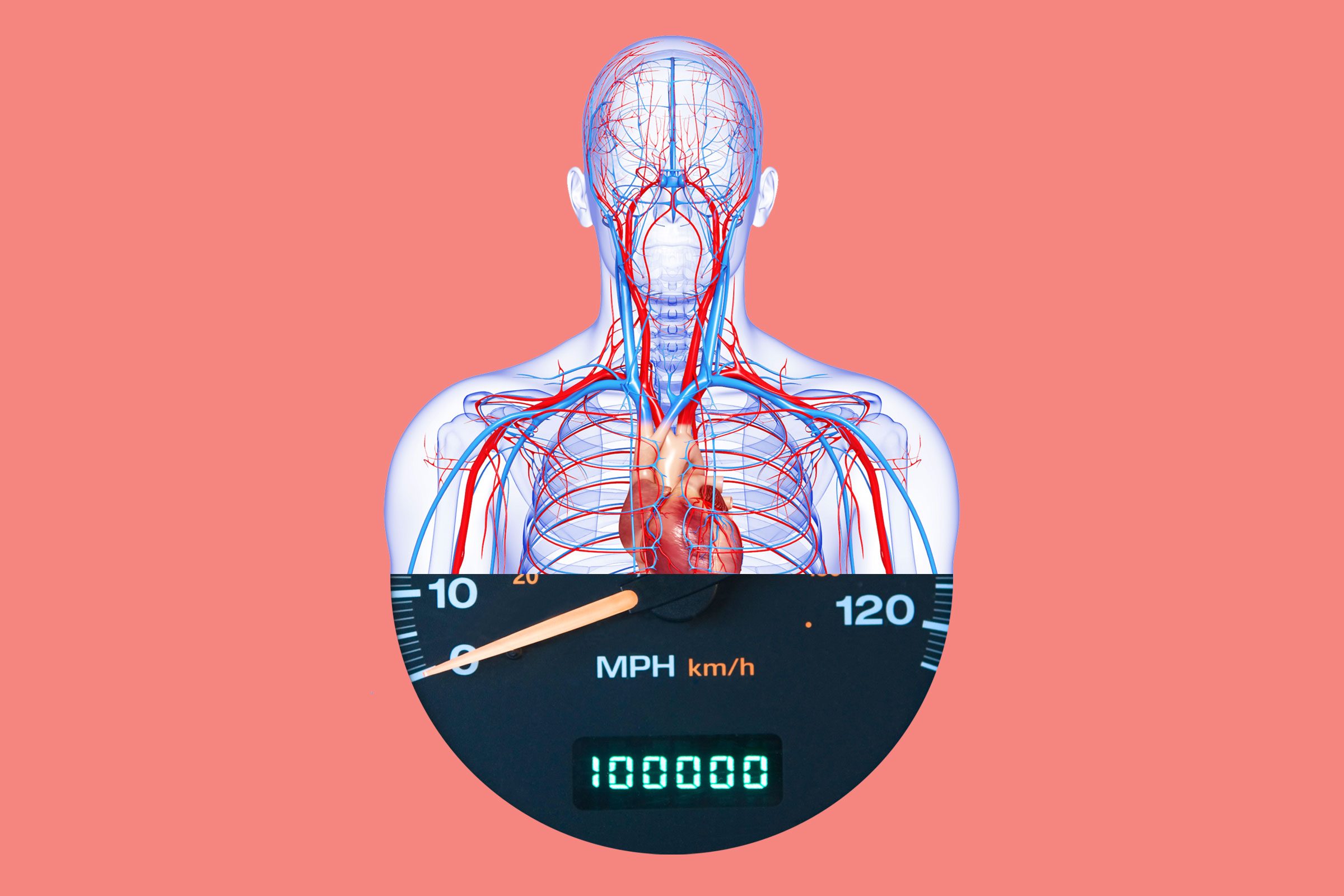 Circulatory System drawing collaged with odometer that reads 100,000 miles