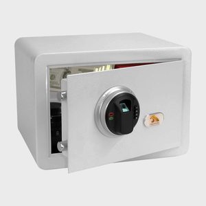 Fingerprint Safe