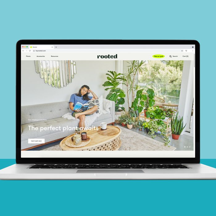 Buying plants online at Hey rooted