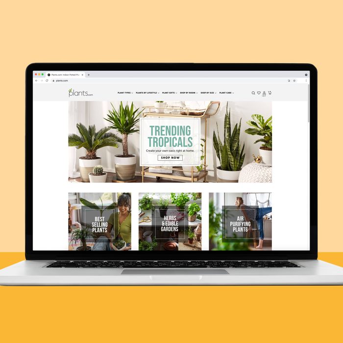 buying plants on Plants.com