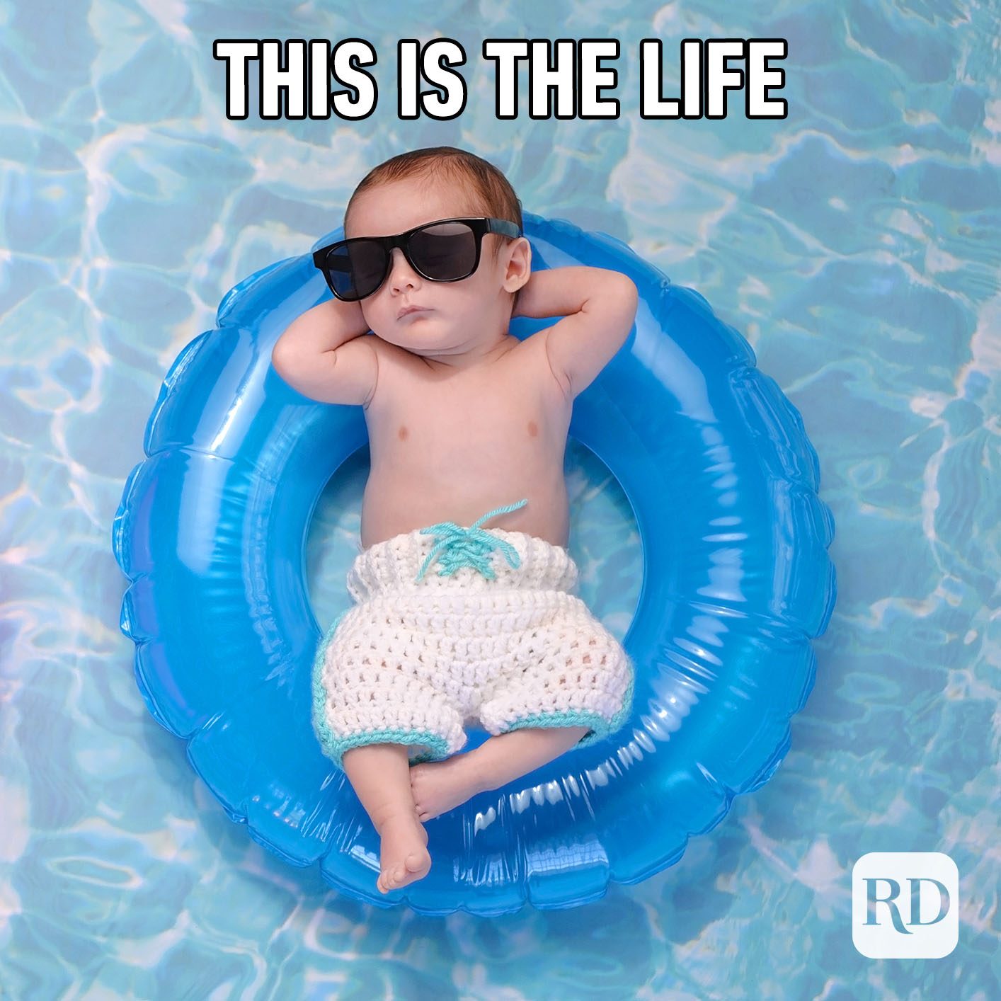 Meme text: This is the life