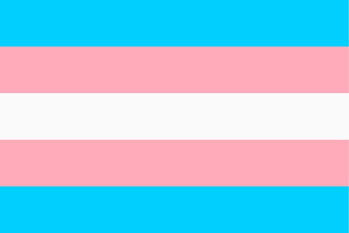 Transgender Flag