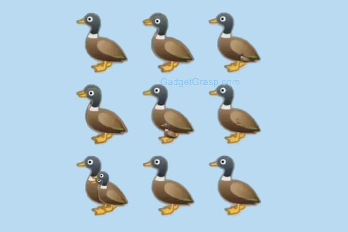 how many ducks are in this image?