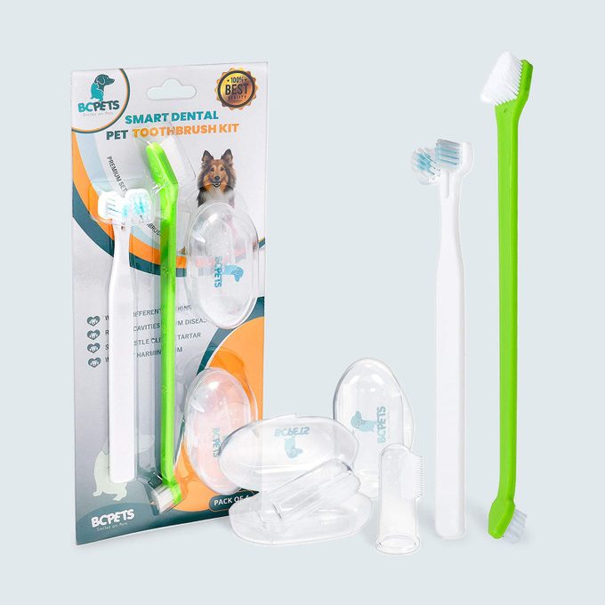 Bc Pets Dog Dental Care Kit