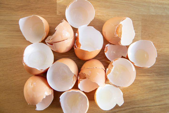 Egg Shells