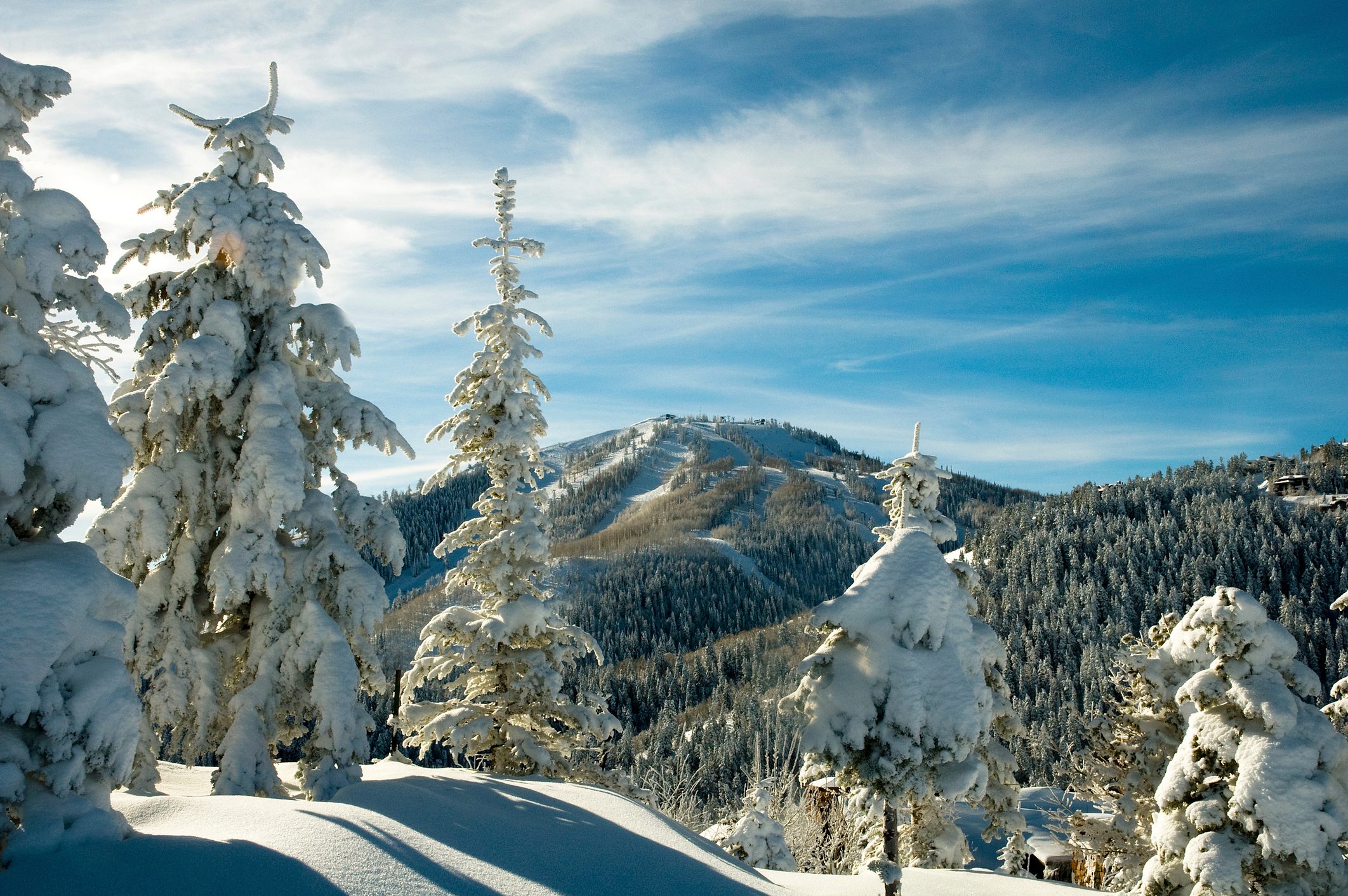 Pillows of snow at Deer Valley Resort