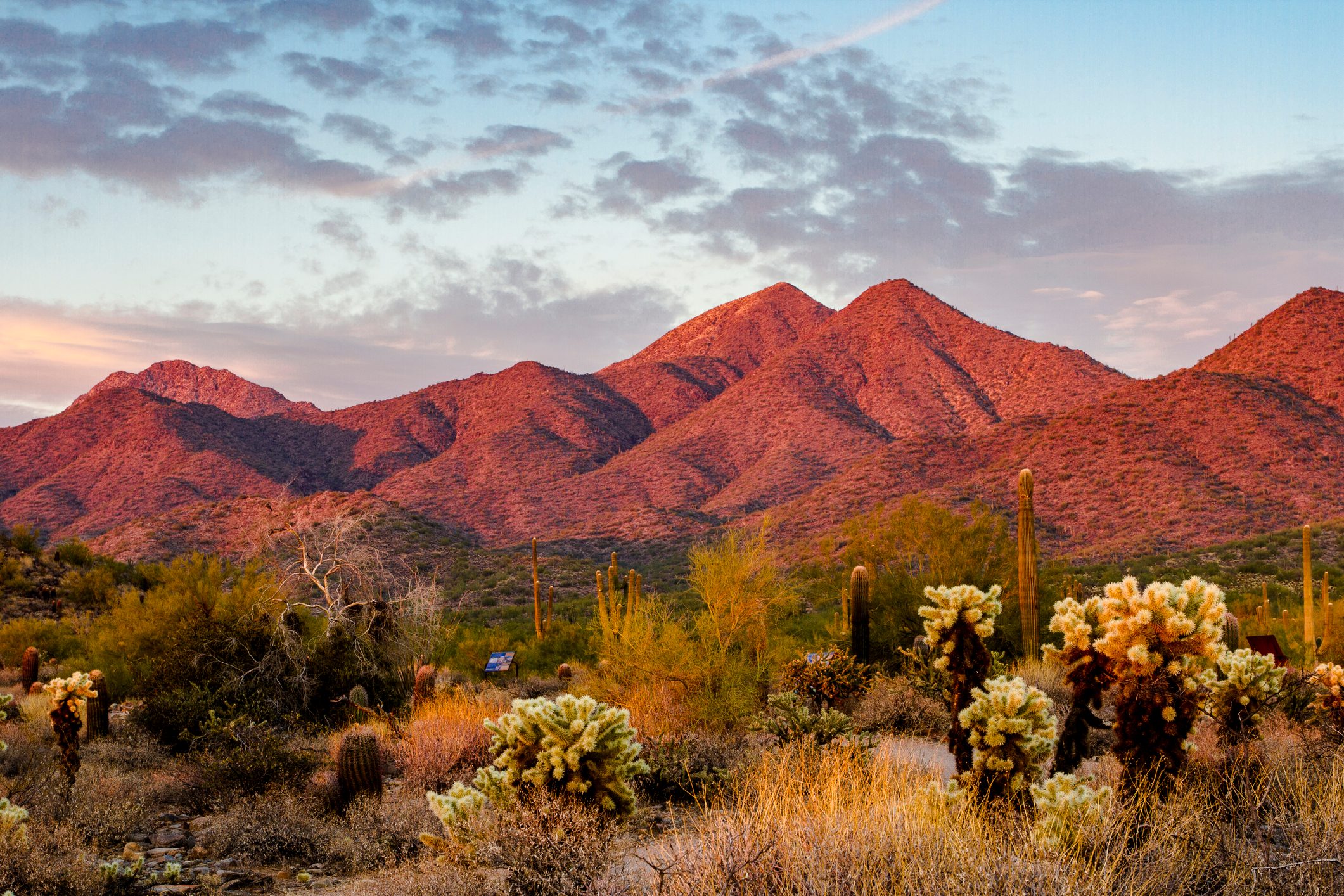 Sunset light on the mountains