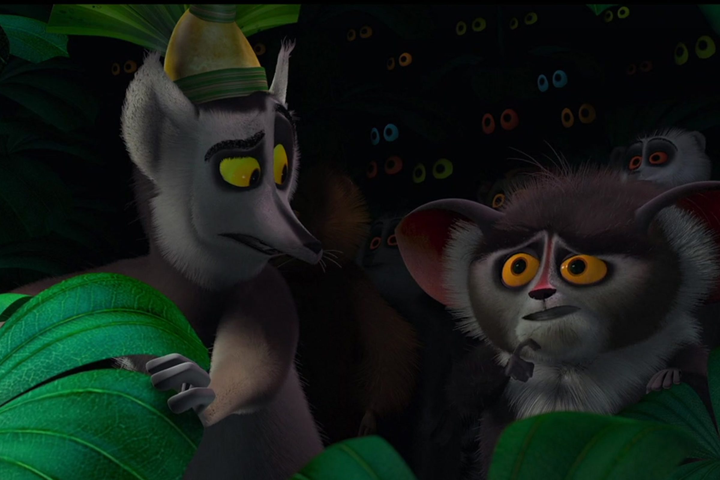 Scene from Madagascar