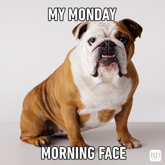 My Monday Morning Face