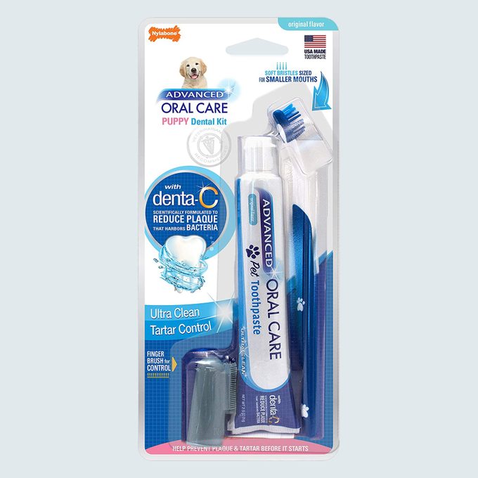 Nylabone Advanced Oral Care Puppy Dental Kit