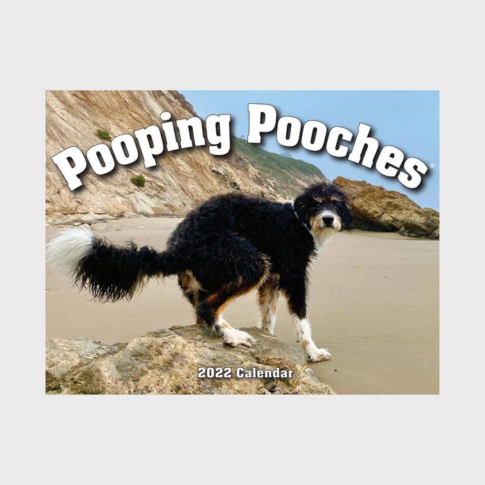 Pooping Pooches White Elephant Gag Gift Calendar