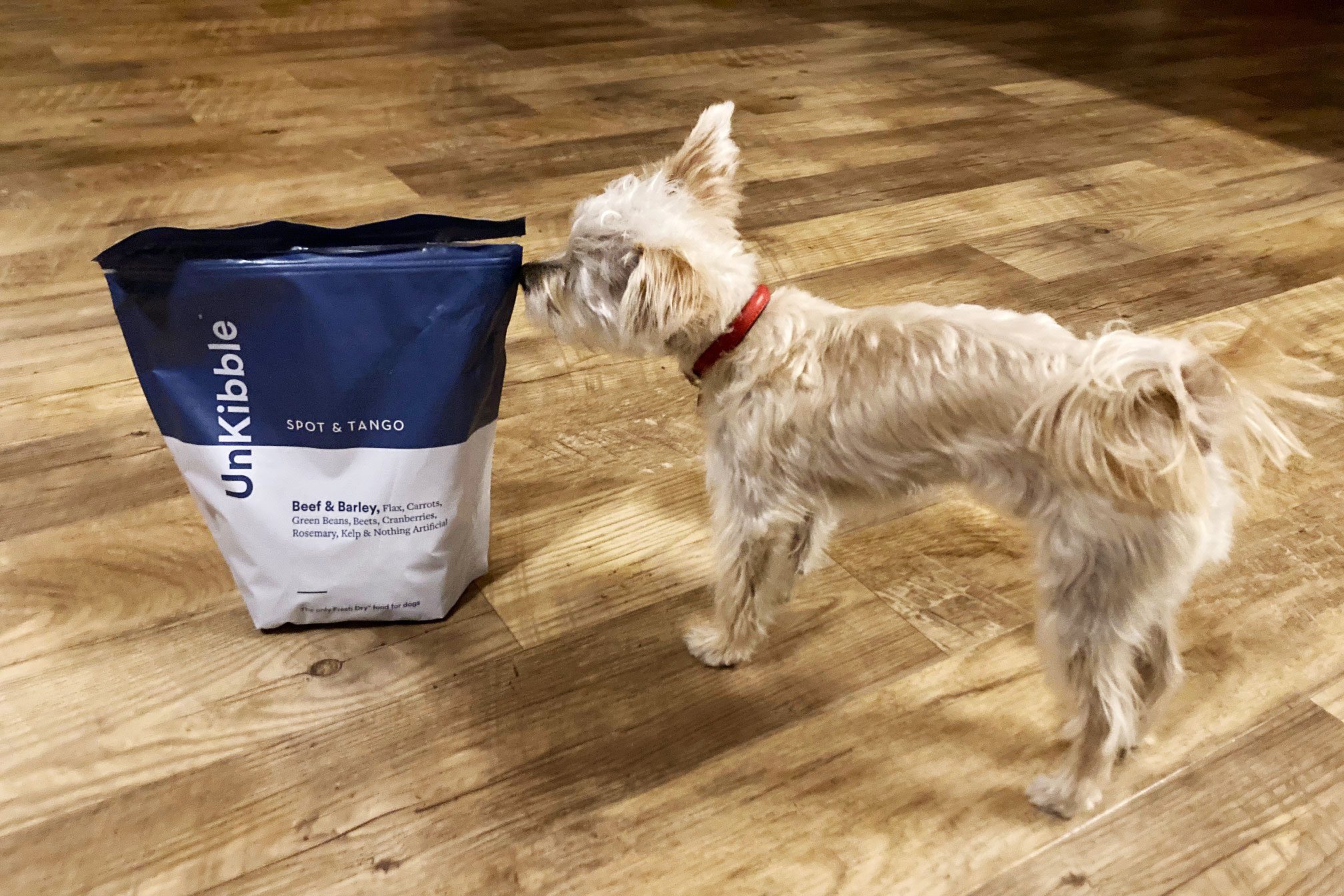 This Dog Food Brand Sold Out Twice in Its First Month