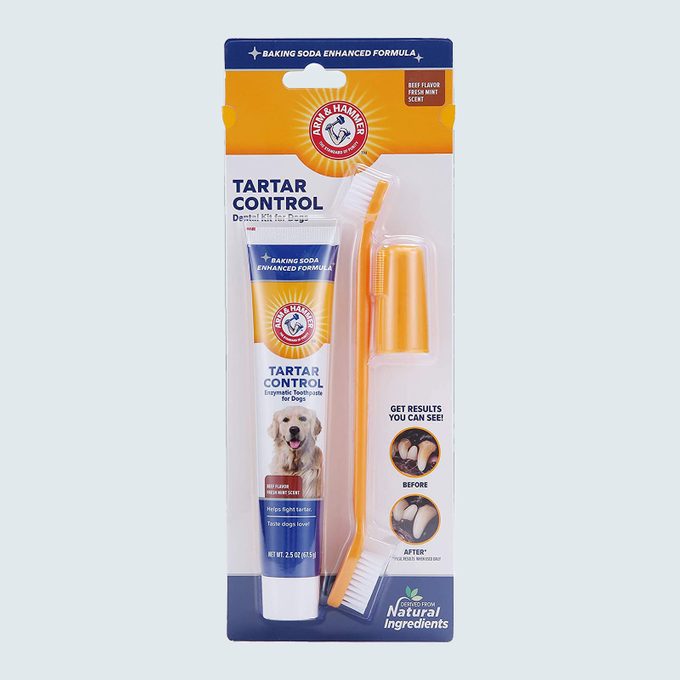 Arm & Hammer For Pets Tartar Control Dental Kit For Dogs