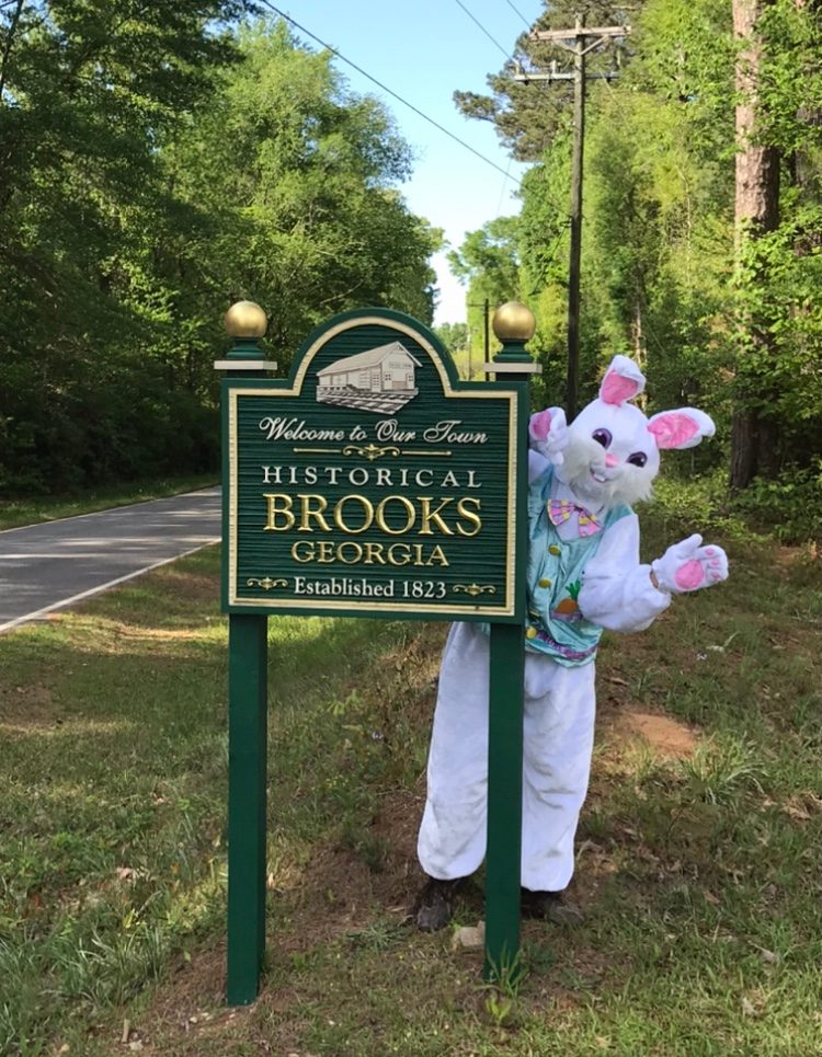 Brooks Georgia