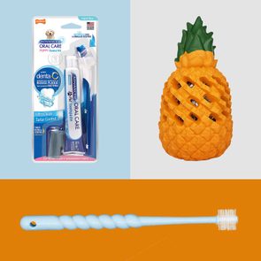 Fairwin Dog Chew Toys For Aggressive Chewers, Nylabone Advanced Oral Care Puppy Dental Kit, Vturboway 360 Degree Pet Toothbrush For Small Dogs