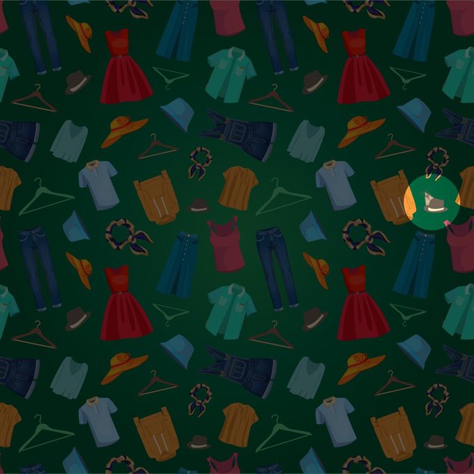 moth among the clothes answer