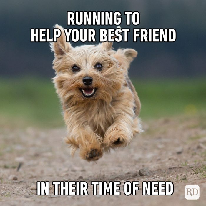 Meme text: Running to help your best friend in their time of need