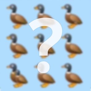 Duck riddle image blurred with question mark superimposed