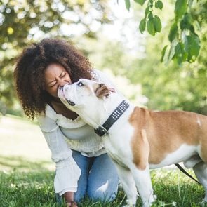 Happy woman with affectionate bulldog at park