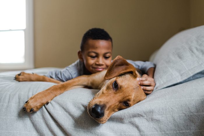 young boy with his rescue dog