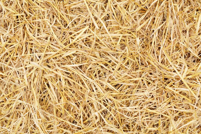 close up of hay full frame