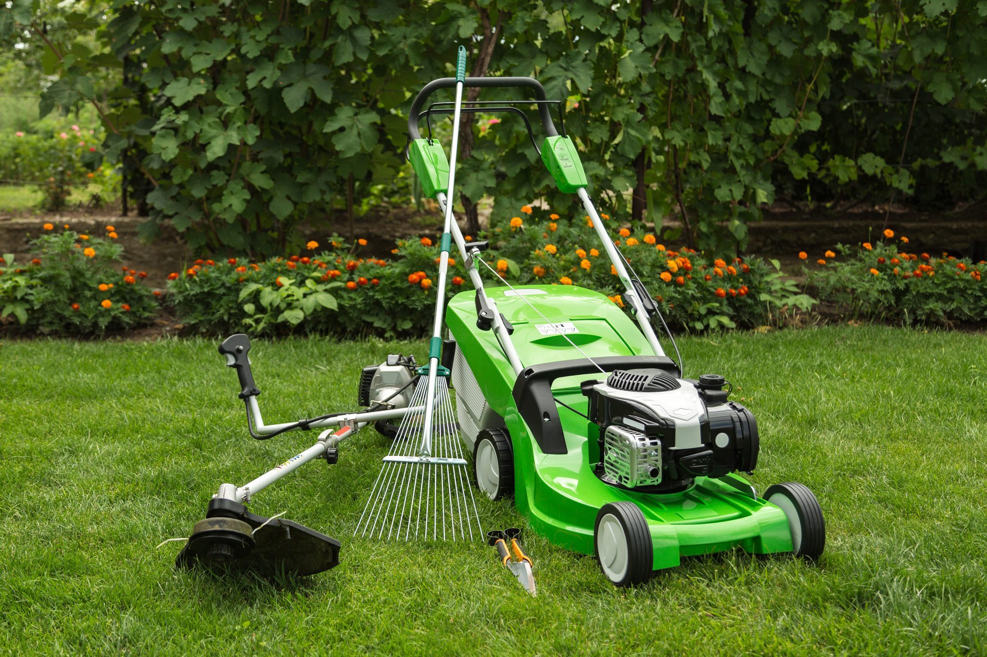 Outdoor shot of garden equipment