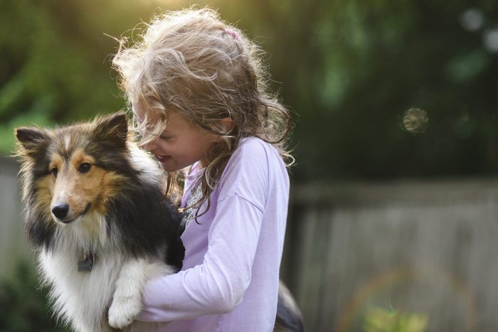 Girl playing with collie dog at park