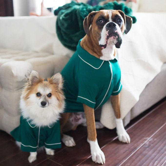 Pet pajamas